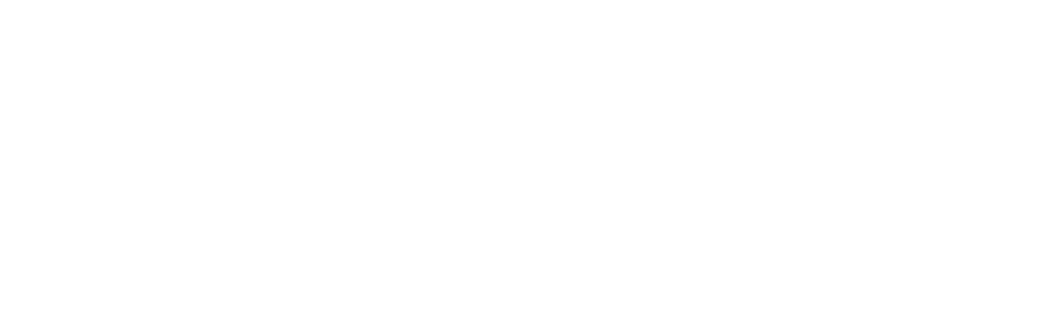 Absolute Physiotherapy Clinic logo in white