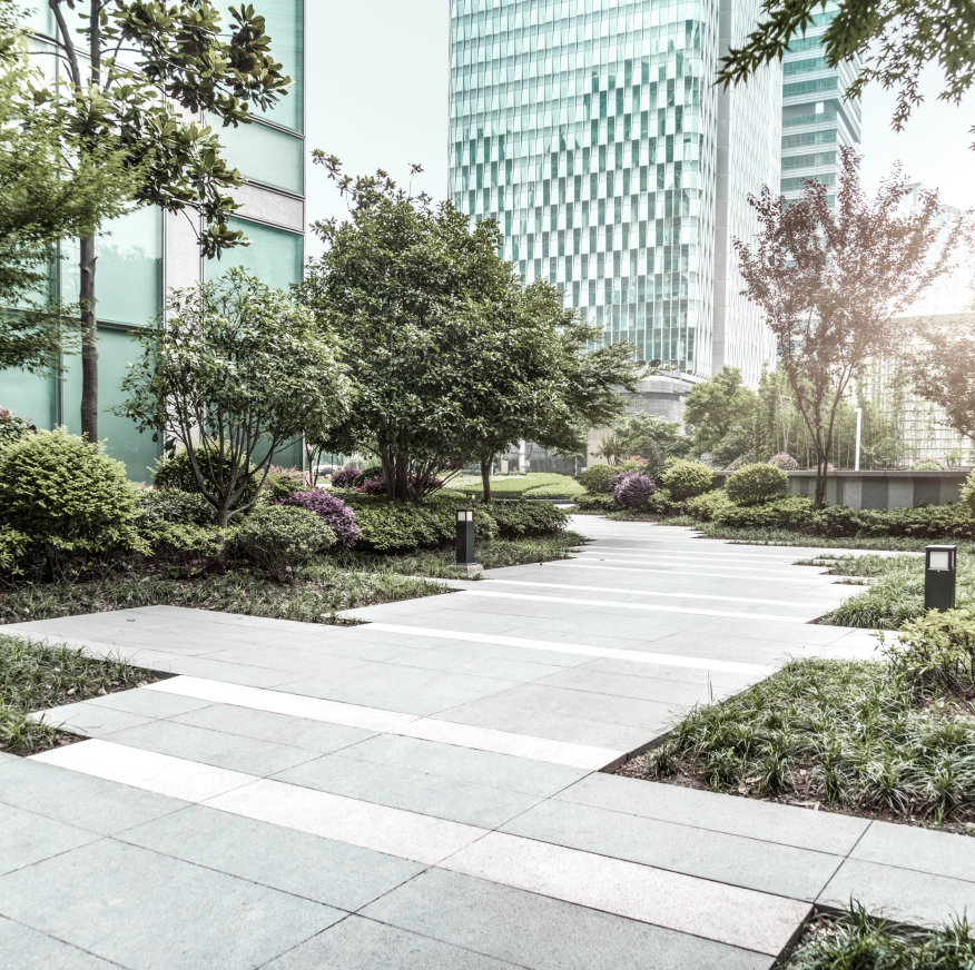 Modern urban garden pathway in Burnaby with gray stone paving, lush green trees and landscaping, surrounded by contemporary glass office buildings