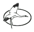 DLLG logo Deer Lake Law Group – Burnaby, BC