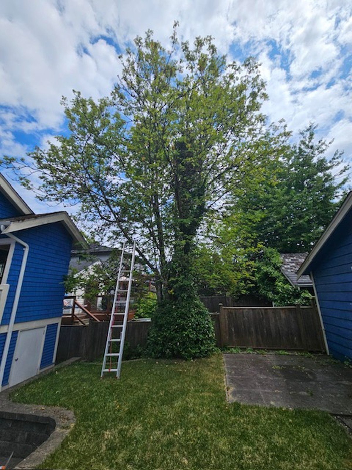 scg hero All Burnaby Locals