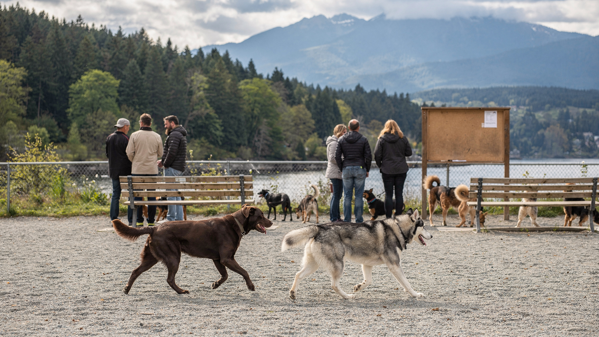burnaby dog parks pet services v2 Burnaby Dog Parks & Pet Services Burnaby BC - Burnaby Dog Parks & Pet Services