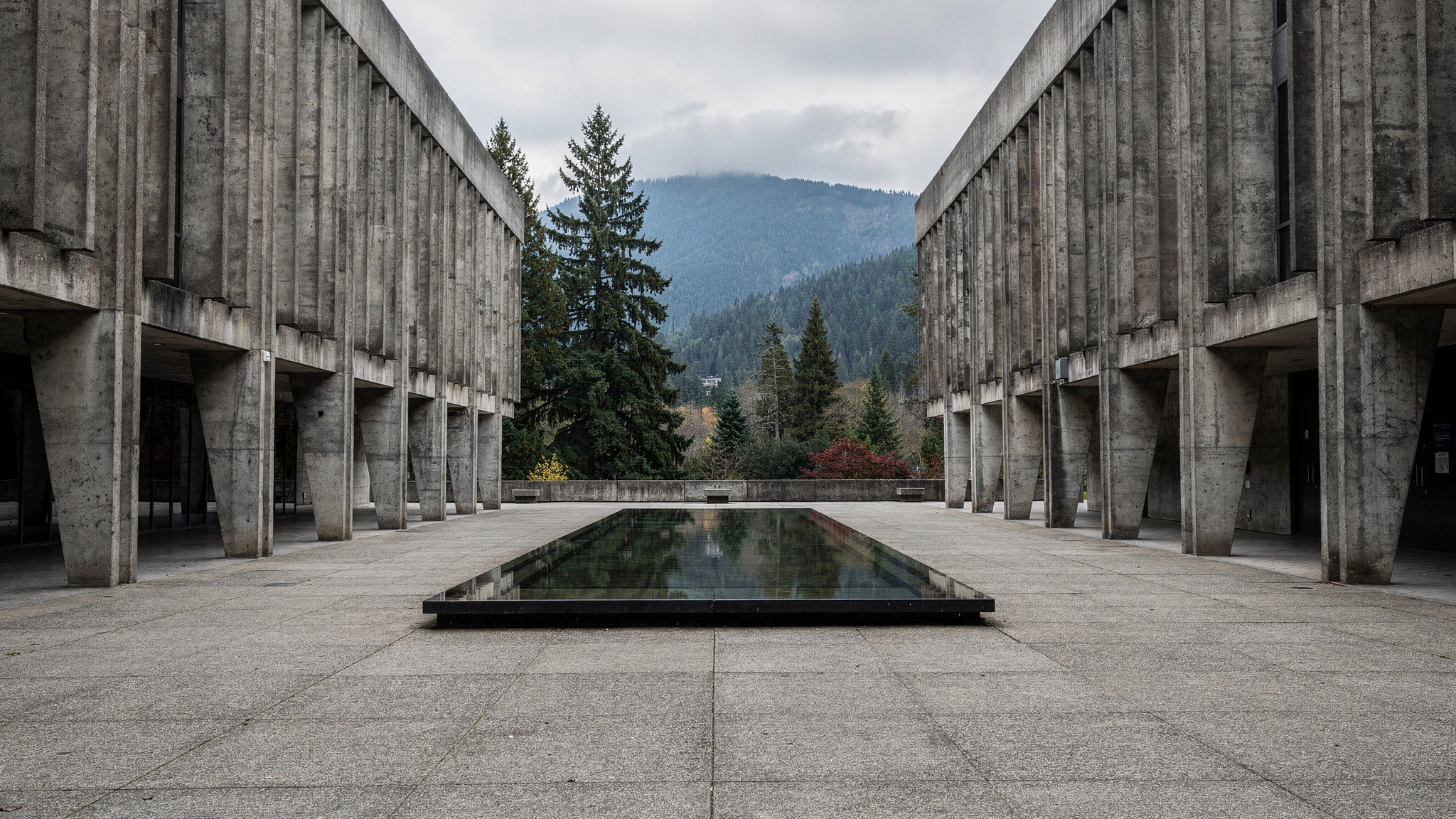 burnaby mountain sfu featured v2 Burnaby Mountain and SFU: The Complete Guide Burnaby Mountain and SFU: The Complete Guide