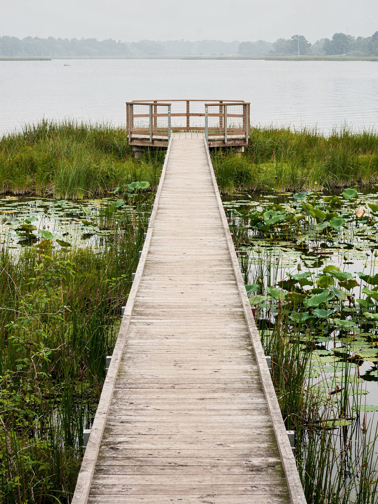 burnabylake piper spit boardwalk Burnaby Lake Regional Park: The Complete Guide The Lake Loop Trail