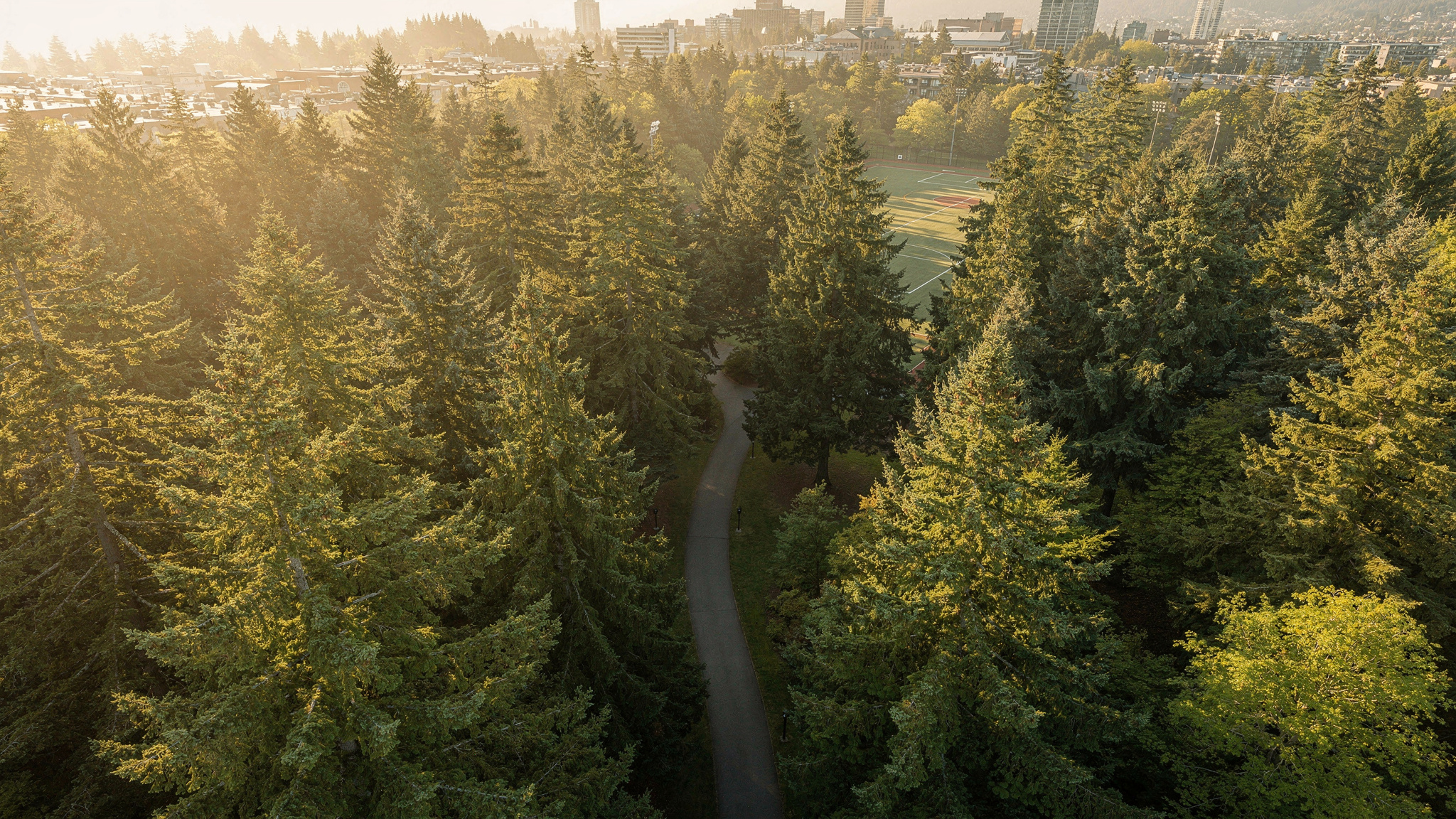 Central Park Burnaby: Urban Forest, Trails, and Recreation