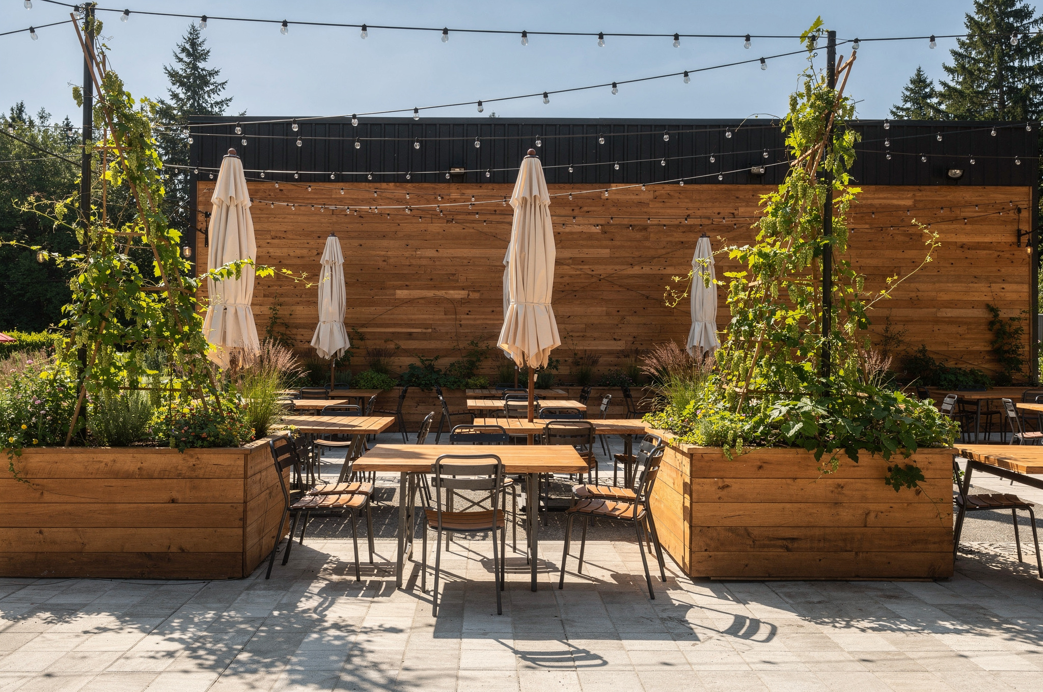 outdoor dining area burnaby with tables and plants